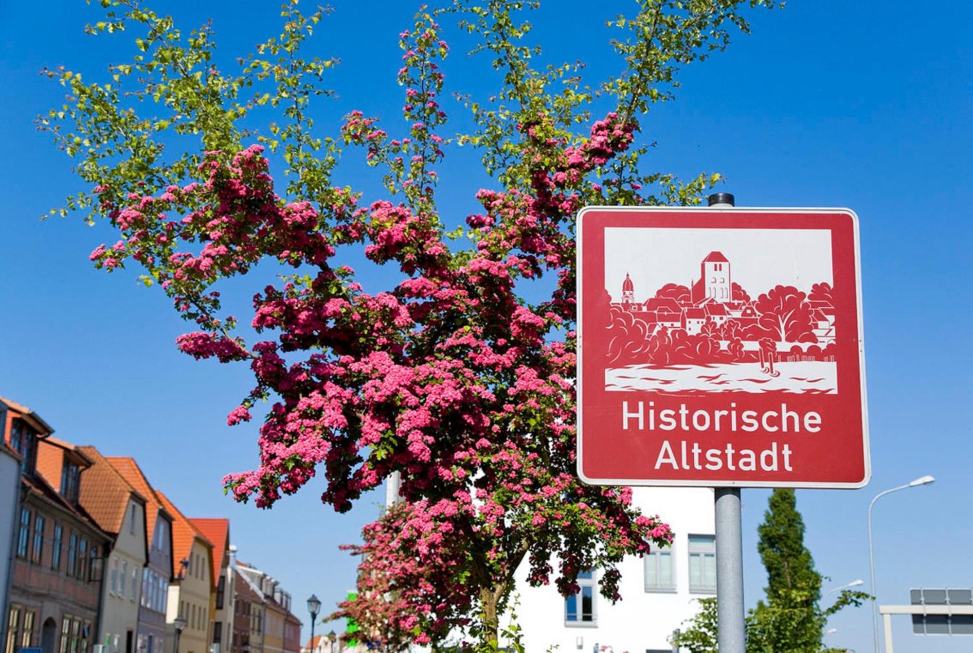 Ferienwohnung Am Muehlenberg Waren  Buitenkant foto